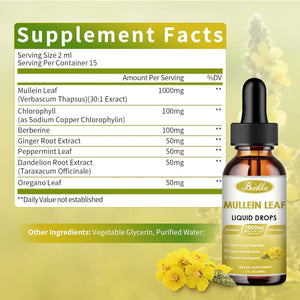 Mullein Drops for Lungs, 30000Mg Mullein Leaf Extract, 7-In-1 Mullein Tincture with Chlorophyll, Berberine, Ginger Root（2 PCAK）