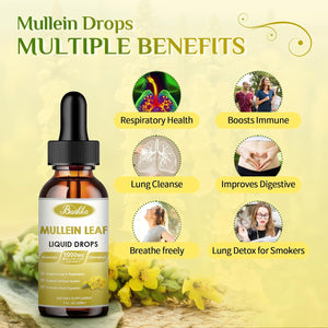 Mullein Drops for Lungs, 30000Mg Mullein Leaf Extract, 7-In-1 Mullein Tincture with Chlorophyll, Berberine, Ginger Root（2 PCAK）