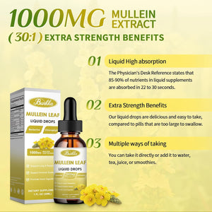 Mullein Drops for Lungs, 30000Mg Mullein Leaf Extract, 7-In-1 Mullein Tincture with Chlorophyll, Berberine, Ginger Root（2 PCAK）