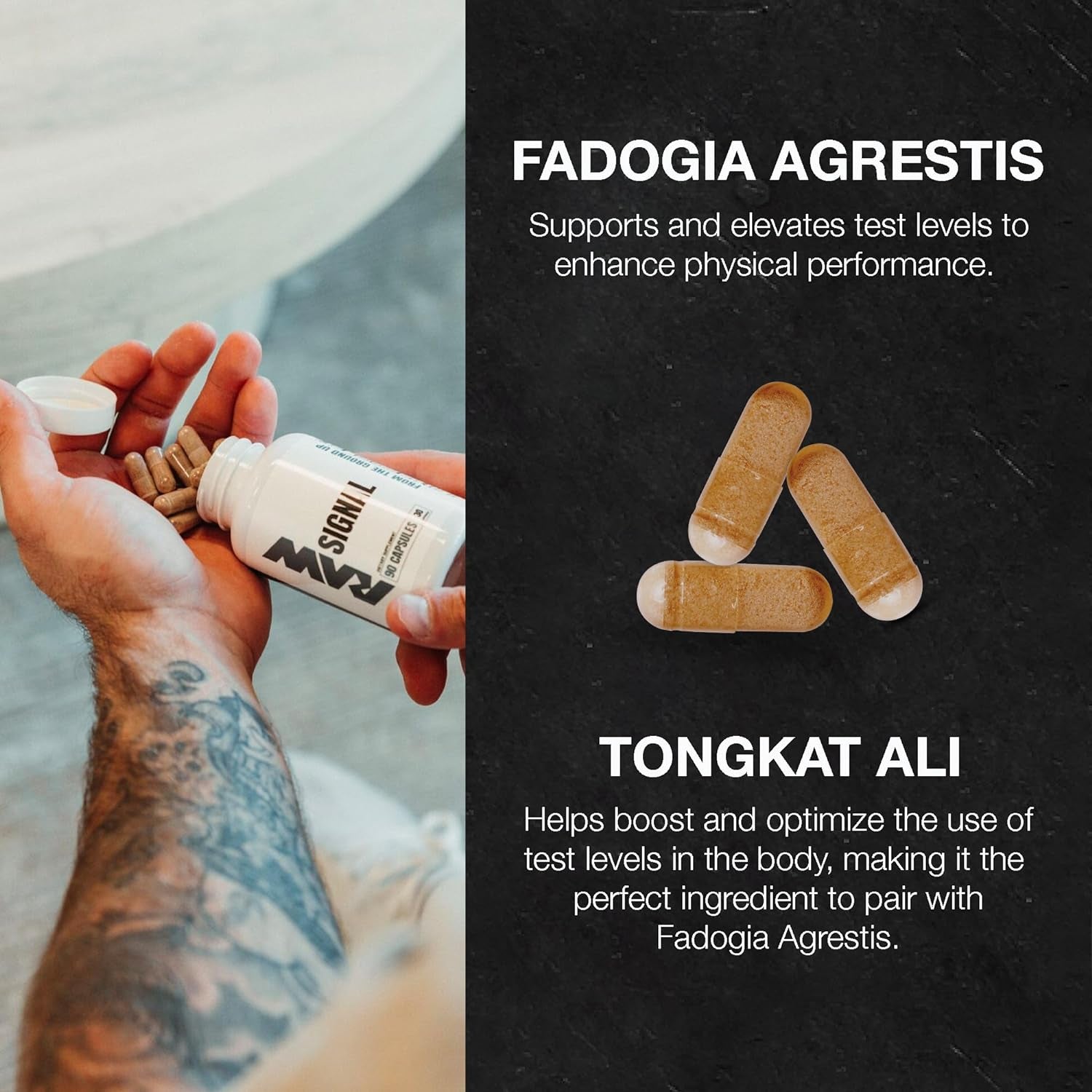 RAW Signal Fadogia Agrestis & Tongkat Ali Supplement, 90 Capsules - Tongkat Ali for Men with (Longjack Root Extract) & Fadogia Agrestis - Maximize & Boost Male Performance