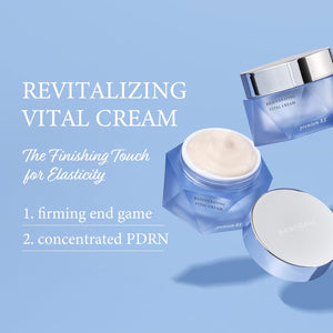 Rejuvenating Vital Cream | Wrinkle Cream for Face Deep Wrinkles & Aging Skin Care for Women | Hydrating Moisturizer Face Cream & Neck Firming Cream | Korean Skin Care Glass Skin (1.69 Fl Oz.)