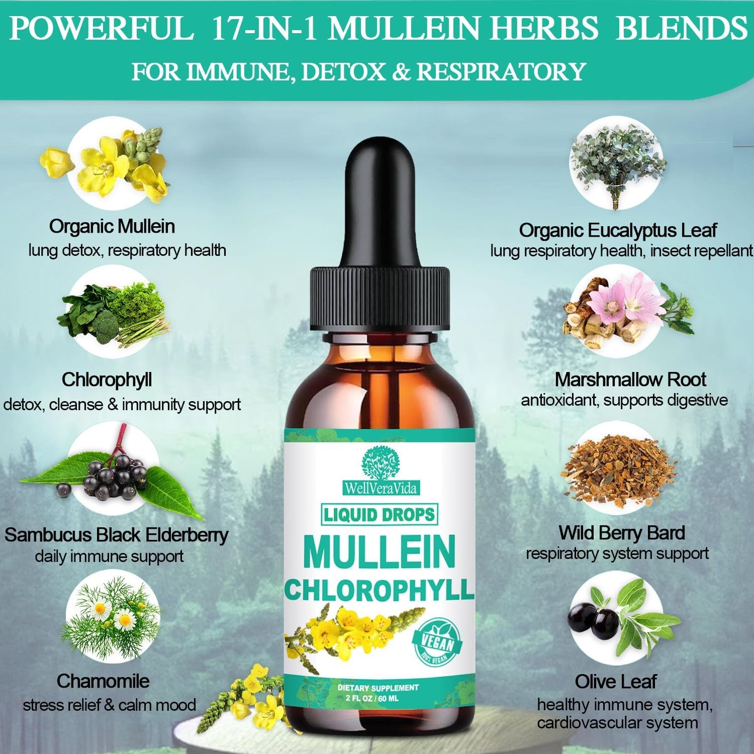 Mullein Leaf Extract for Lungs, Organic Mullein Drops for Lungs with Chlorophyll, Elderberry, Powerful Lung Cleanse Detox for Smoker, Mullein Tincture Alcohol Free for Respiratory Lung Health 2 FL/OZ