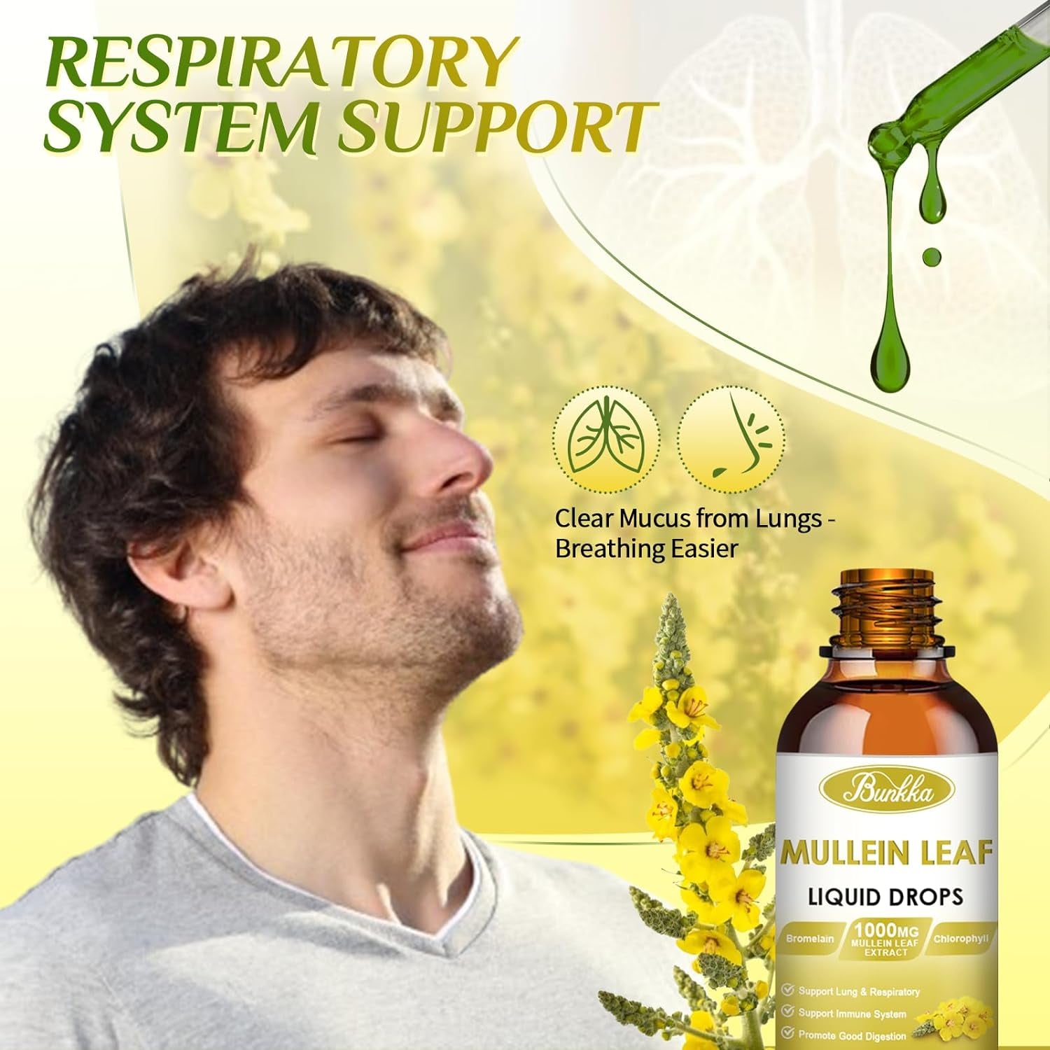 Mullein Drops for Lungs, 30000Mg Mullein Leaf Extract, 7-In-1 Mullein Tincture with Chlorophyll, Berberine, Ginger Root（2 PCAK）